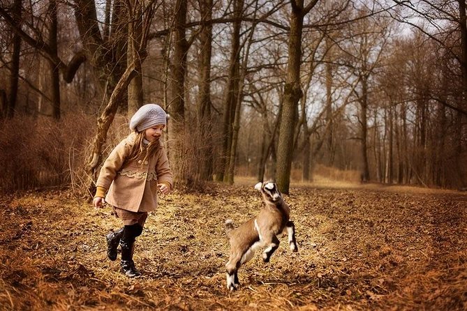 Private Photo Session in St. Petersburg Review - Pricing and Guarantee
