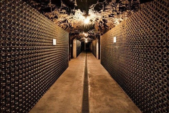 Private Premium Bairrada Tour: 3 Wineries, Wine Tastings & Lunch