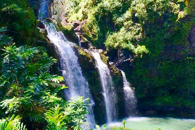 Private Road to Hana Tour
