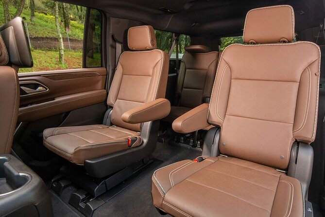 Private Round Trip New Orleans Airport MSY or Port - New Orleans - Additional Features