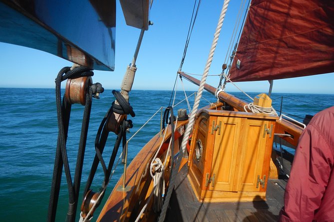 Private Sailing Tour Review: A Coastal Adventure