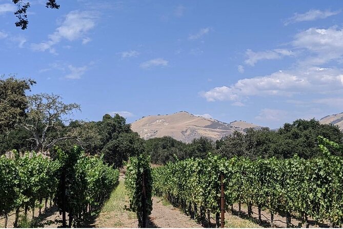 Private Santa Ynez Valley Wine Tasting Tour for up to 4 Guests