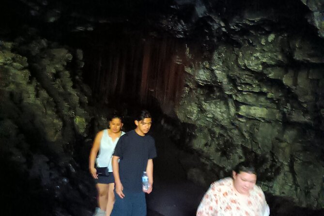 Private Shore Excursion Hilo Review