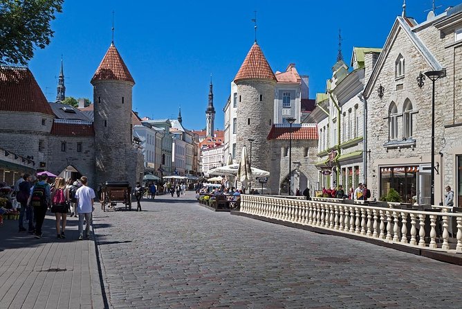 Private Shore Excursion: Walking Tour of Tallinns Old Town