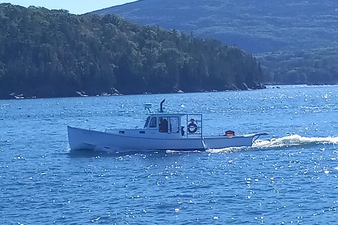 Private Sightseeing Charter in Frenchman Bay Review