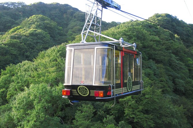 Private Sightseeing Tour From Shimizu Port /Small Bus