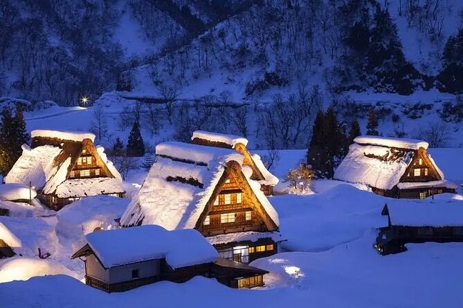 Private Sightseeing Tour to Shirakawago and Takayama From Nagoya - Accessibility and Participation