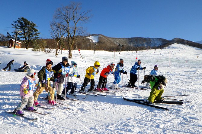 Private Ski Lesson for Family or Group(Transport Included ) - Activity Overview