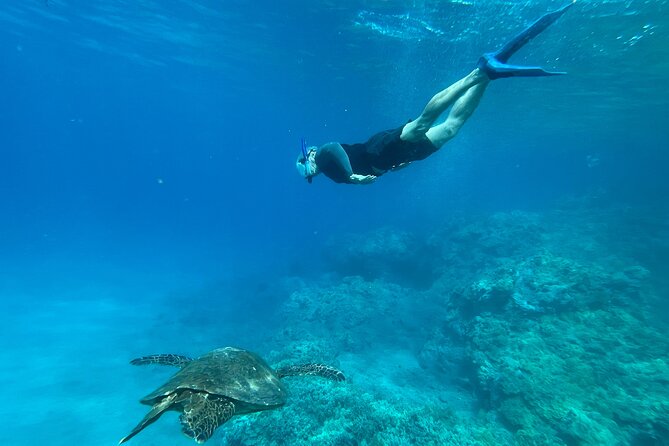 Private Snorkel With Beach Set-Up