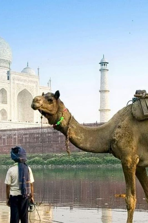 Private Sunrise Taj Mahal & Agra Fort From Jaipur by Car