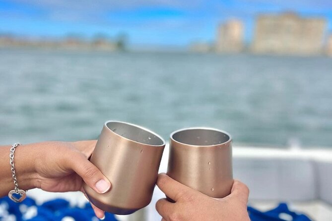 Private Sunset and Dolphin Tour in St. Petersburg, Florida - What to Expect on the Tour