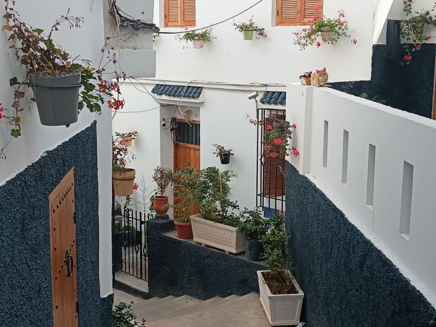 Private Tangier Tour With Lunch and Camel Ride - Tour Overview and Pricing