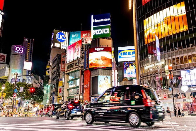Private Tokyo Culture Tour by Car