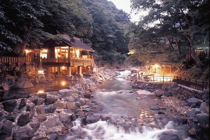Private Tokyo Tour Guide Japanese Disco, Clubs. Dancing Any Where Translate. - Tour Overview
