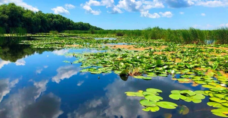 Private Tour From Bucharest to Danube Delta 2 Days Tour