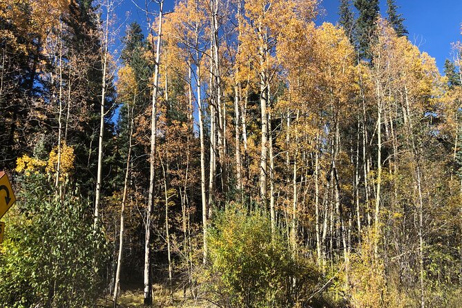 Private Tour Hiking to Saint Marys Glacier, Red Rock and Hot Springs