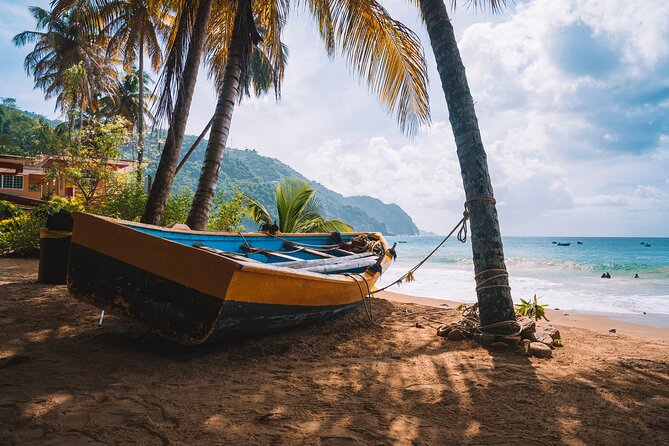 Private Tour Maracas Beach From Port of Spain