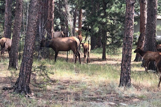 Private Tour of Red Rocks, Echo Lake, Mount Evans and Idaho Springs.
