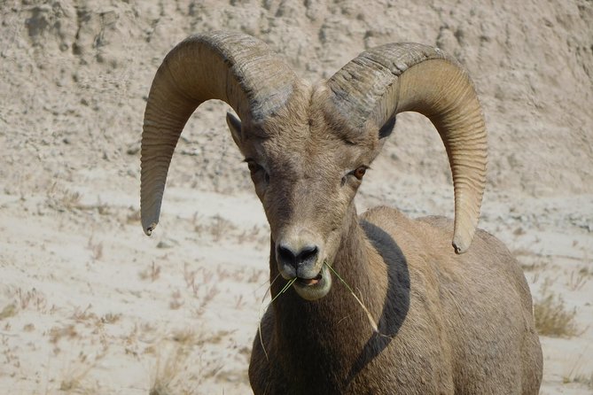 Private Tour of the Badlands With Local Experts