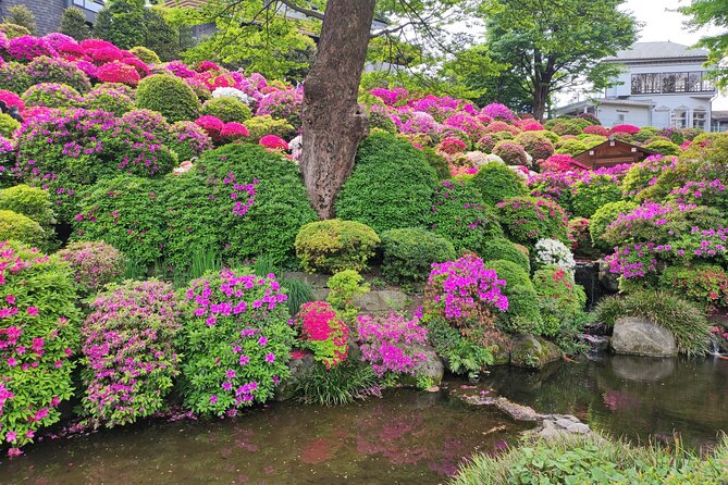 Private Tour of the Secret Corners of Tokyo