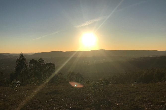 Private Tour Porto Buggy Adventure - Tour Overview