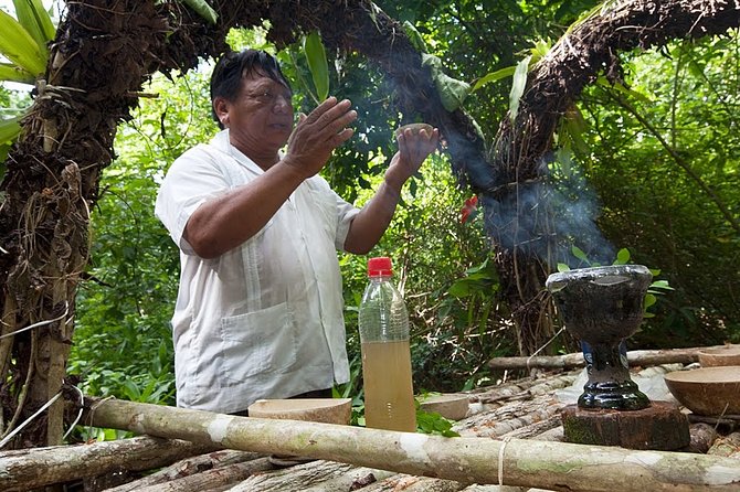 Private Tour Punta Laguna Monkey Sanctuary Zip Line
