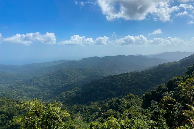 Private Tour Rainforest From Tobago