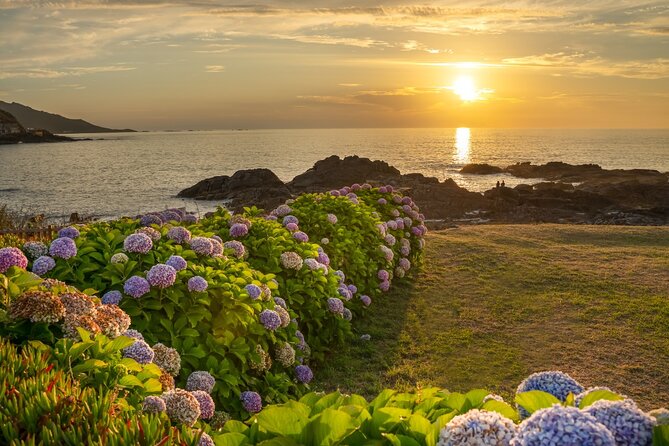 Private Tour to Biarritz and Baiona From Bilbao