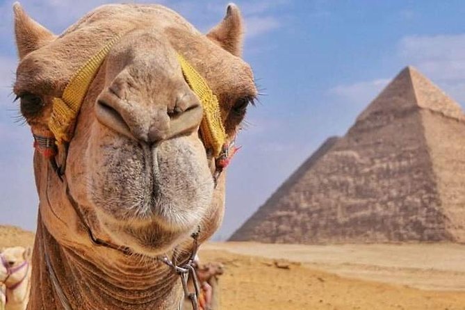 Private Tour to Pyramids & Old Cairo