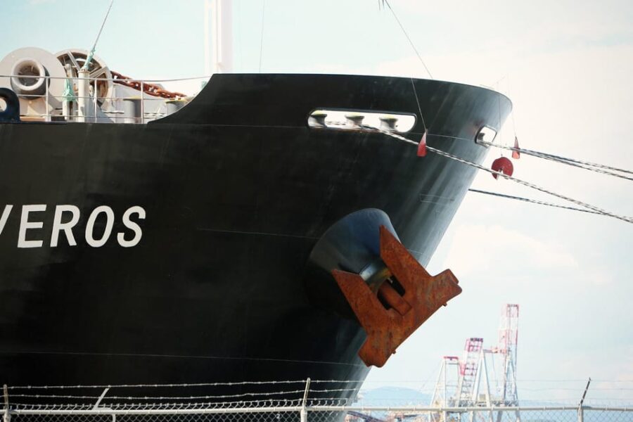 Private Transfer: From Gatwick Airport to Southampton Port.