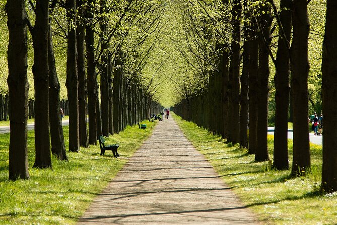 Private Transfer From Hamburg to Hannover, English Speaking Driver