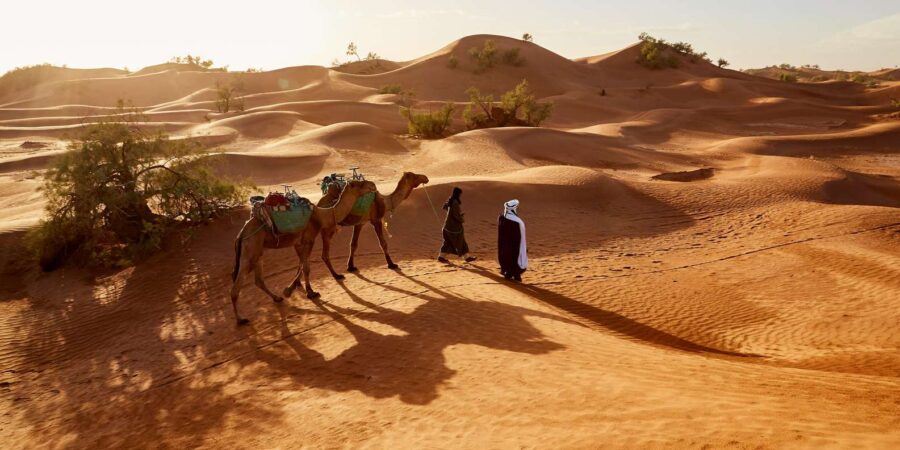 Private Transfer From Marrakech to the Agafay Desert - Transfer Details and Pricing