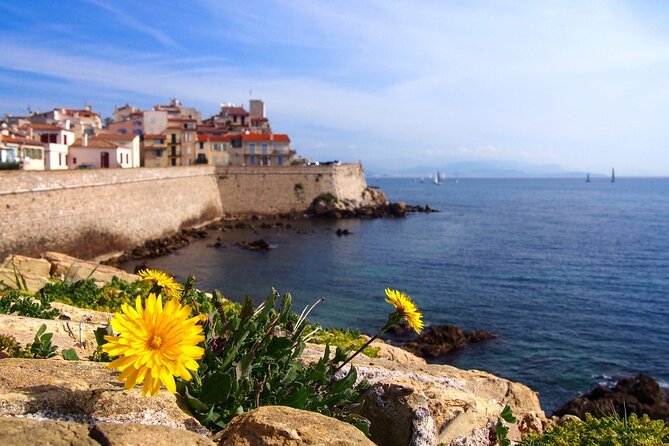 Private Transfer From Monaco To Antibes, 2 Hour Stop in Nice - Overview of Private Transfer
