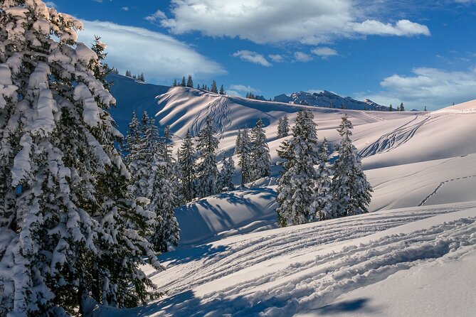 Private Transfer in the Alps From Zurich to Zermatt, English Speaking Driver