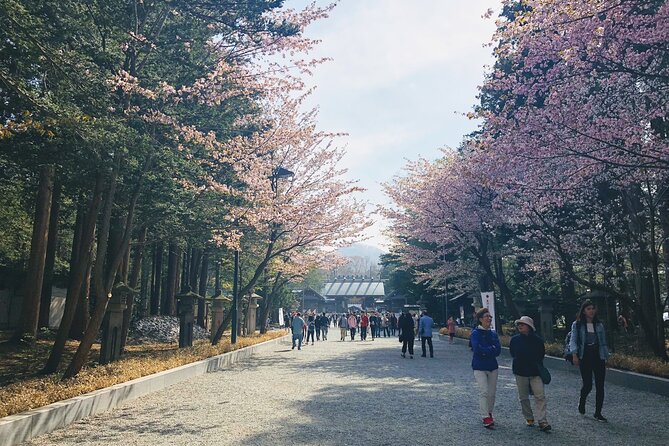 Private Transfer New Chitose Airport to Hokkaido Attractions