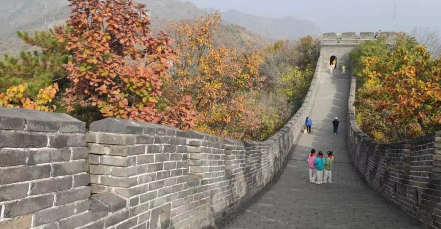Private Trip to Great Wall+Panda House With English Driver