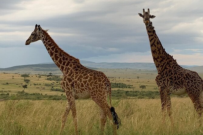 Private Tsavo East Tour
