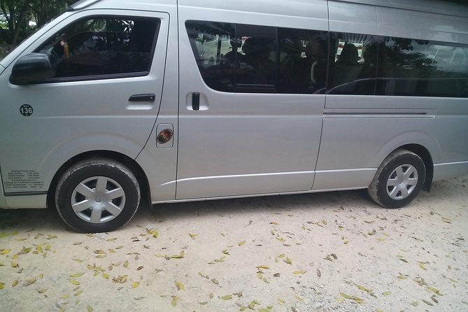 Private Van Ocho Rios Custom Sightseeing Tours