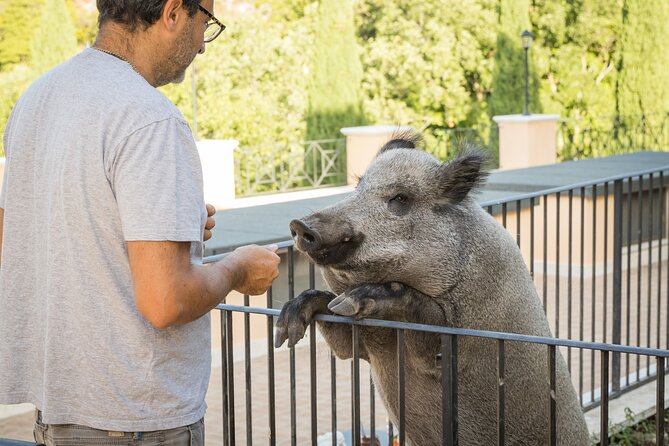 Private Visit to the Animals of the Enchanted Village in Spoleto