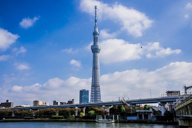 Private Walking Tour of Tokyo With a Water Bus Ride