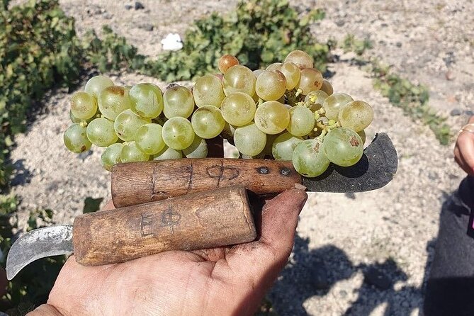 Private Wine Tour in Santorini