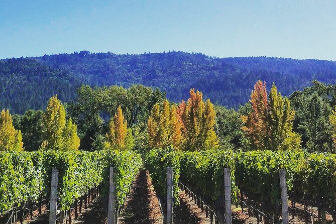 Private Wine Tour of Napa Valley