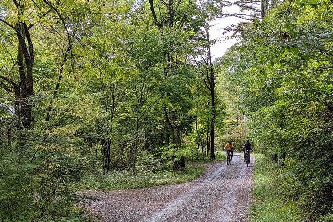 Private Yatsugatake Highland Guided Electric Bike Tour