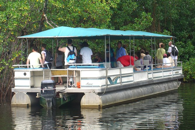 Private YS Falls and Black River Safari From Negril