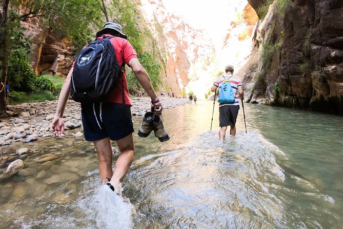 Private Zion Canyon National Park Day Tour From Las Vegas