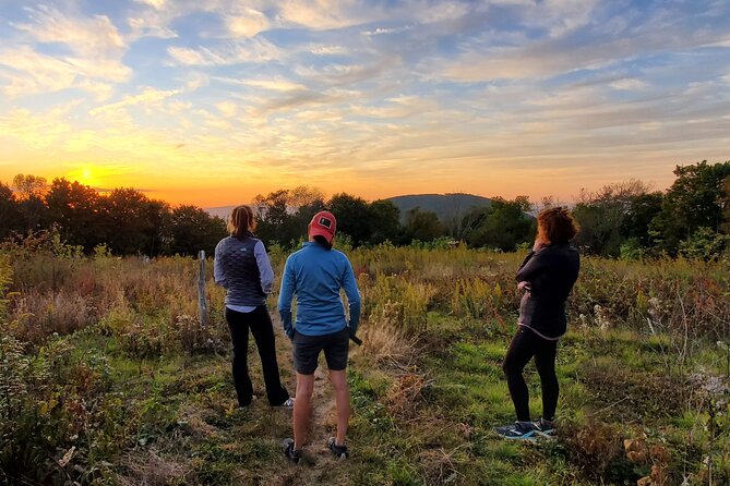 Privately Guided Sunset Hike Review - Overview and Experience