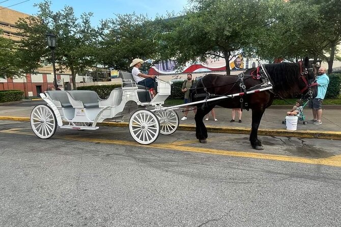 Public Group Historical Carriage Tour Review