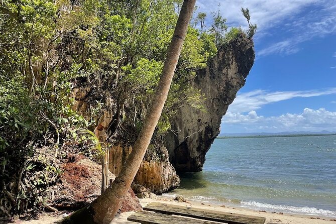 Punta Cana: 7 Beaches Walking Tour + Typical House
