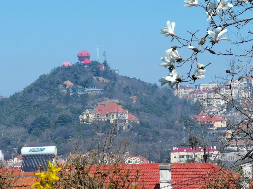 Qingdao: City Highlights and Tsingtao Beer Museum - Tour Overview and Pricing