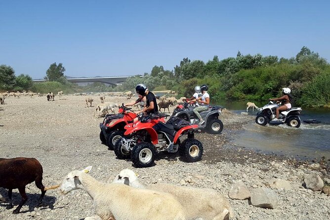 Quad Bikes for Guided Tours.